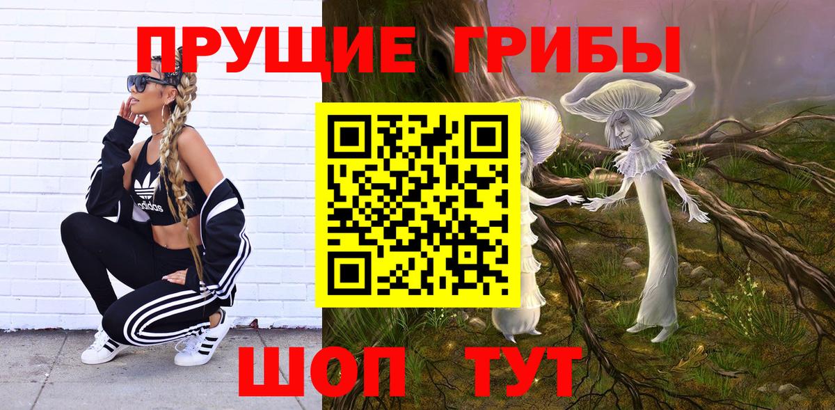 хочу наркоту  Псилоцибиновые грибы Psilocybine cubensis  Вход с VPN  Подольск 