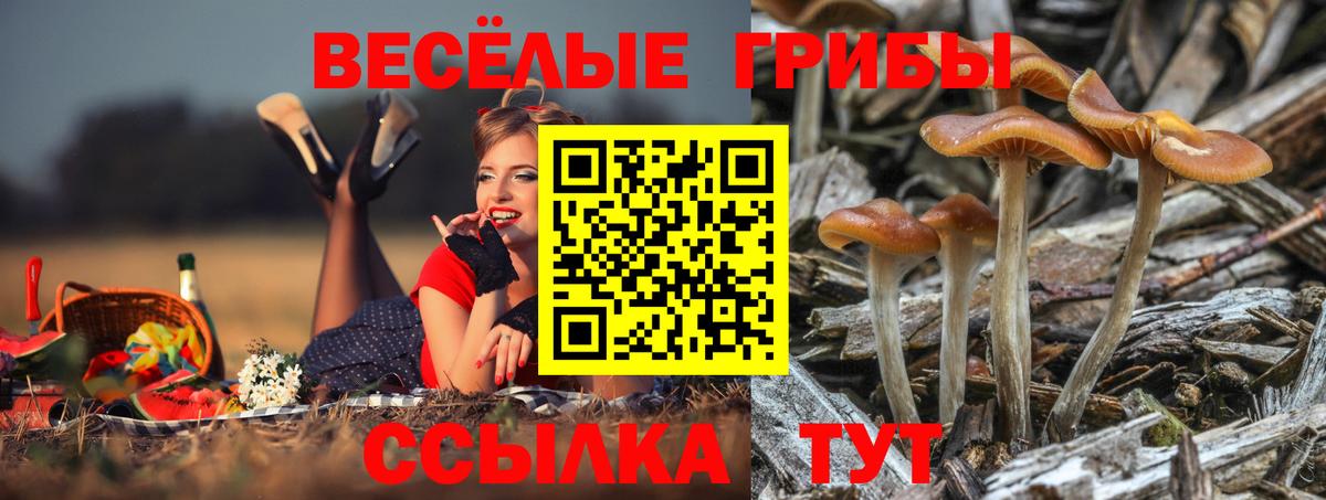Галлюциногенные грибы MAGIC MUSHROOMS Подольск